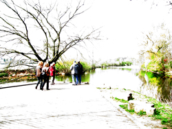 die Gruppe auf der Landzunge, die in den Zusammenfluss von Rednitz und Regnitz hineinriecht