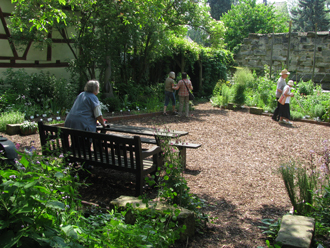Blick in den Garten - Sitzbank, Baum